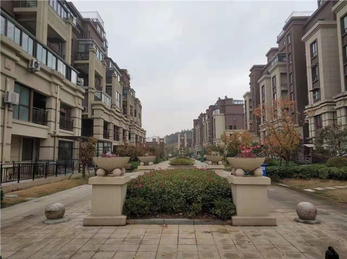 微信图片_20191228211702.jpg