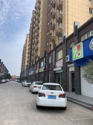 南京六合 横梁东骏华府 公寓32-55平7000元/起  商铺137一296平 8800元/起